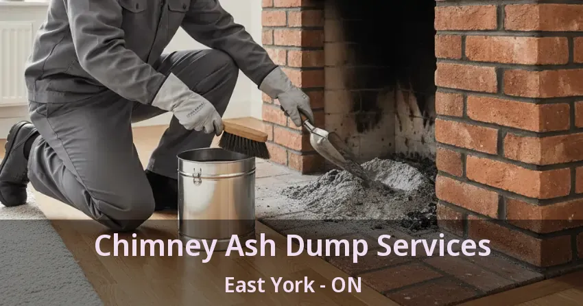 Chimney Ash Dump Services East York - ON